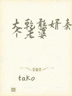 大乾憨婿秦墨几个老婆封面