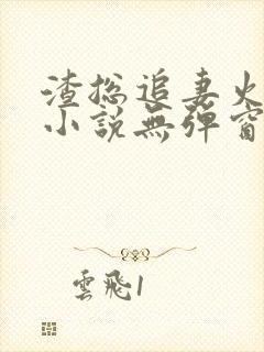 渣总追妻火葬场小说无弹窗封面