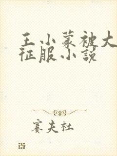 王小蒙被大肉楱征服小说