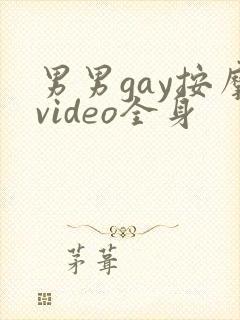 男男gay按摩video全身