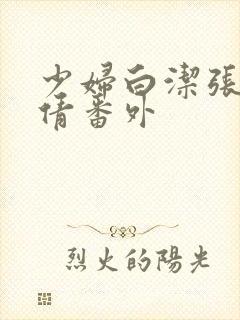 少妇白洁张敏孙倩番外封面