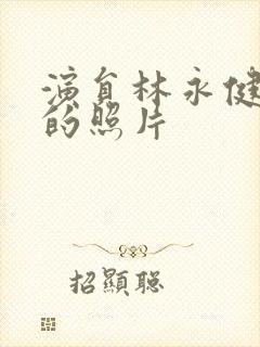 演员林永健老婆的照片