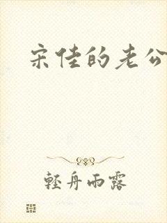 宋佳的老公王伟