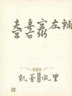 夫妻宫左辅福德宫右弼封面