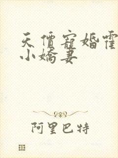 天价宠婚霍少的小娇妻