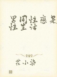 男同性恋是怎么性生活