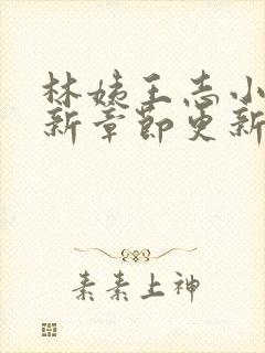 林姨王志小说最新章节更新免费阅读