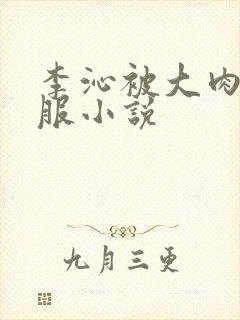 李沁被大肉楱征服小说