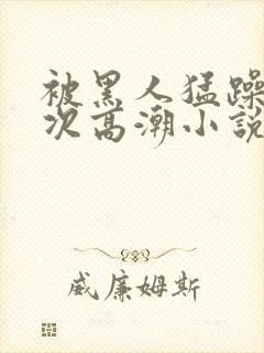 被黑人猛躁12次高潮小说封面