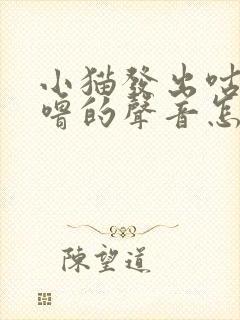 小猫发出咕噜咕噜的声音怎么回事