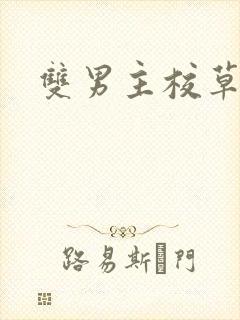 双男主校草校霸