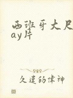 西班牙大尺度gay片