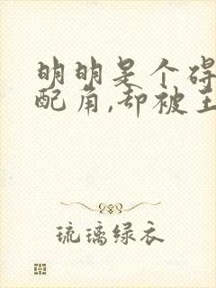 明明是个碍事的配角,却被王子给宠爱了