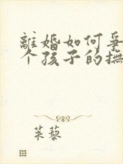 离婚如何争夺两个孩子的抚养权封面