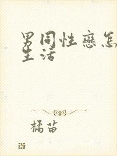 男同性恋怎么性生活