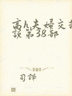 高h夫妇交换小说第38部