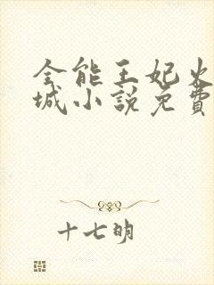 全能王妃火爆京城小说免费阅读