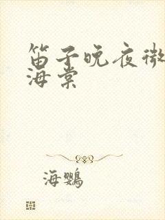 笛子晚夜微雨问海棠