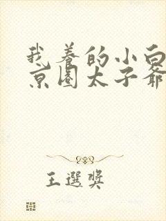 我养的小白脸是京圈太子爷短剧封面