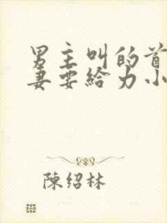 男主叫的首席追妻要给力小说