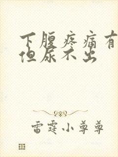 下腹疼痛有尿意但尿不出