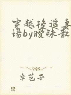 穿越后追妻火葬场by暧昧散尽