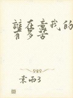 谁在意我的心里有多苦封面