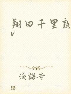 翔田千里熟女av封面