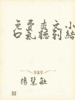 免费爽文小说一口气听到结局