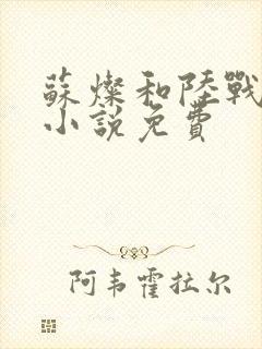 苏灿和陆战东的小说免费