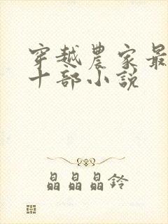 穿越农家最经典十部小说