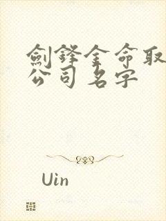 剑锋金命取什么公司名字