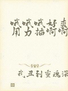 哦哦哦好爽嗯嗯用力插啊啊啊封面