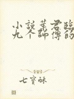 小说叶君临九十九个师傅的结局封面