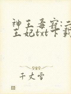 神王毒宠:二嫁王妃txt下载