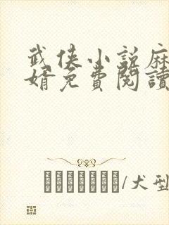 武侠小说麻衣神婿免费阅读