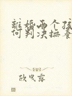 离婚两个孩子如何判决抚养权