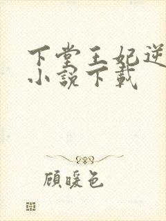 下堂王妃逆袭记小说下载