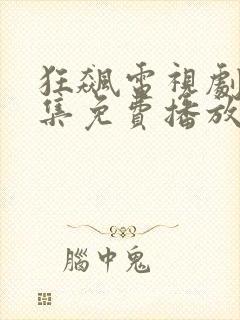 狂飙电视剧40集免费播放封面