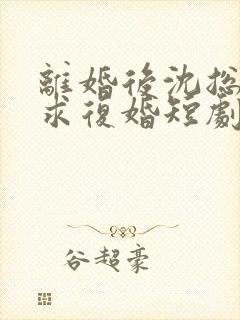 离婚后沈总天天求复婚短剧