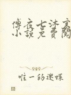 傅夜七沐寒声的小说免费阅读