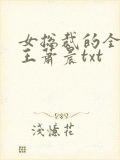 女总裁的全能兵王萧晨txt