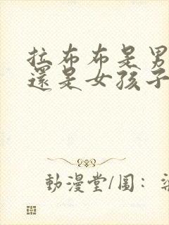 拉布布是男孩子还是女孩子