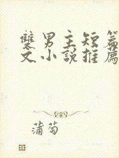 双男主短篇小甜文小说推荐