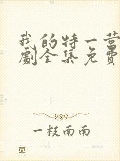 我的特一营电视剧全集免费收看封面