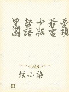 黑帮少爷爱上我国语版电视剧封面