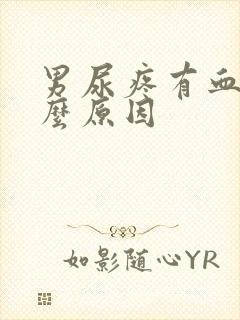 男尿疼有血是什么原因封面