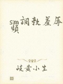 sm调教羞辱视频