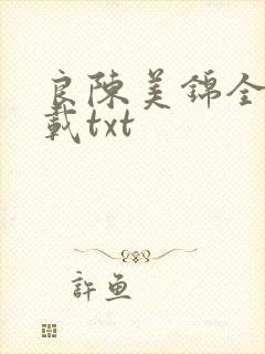 良陈美锦全本下载txt