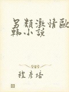 另类激情欧美日韩小说